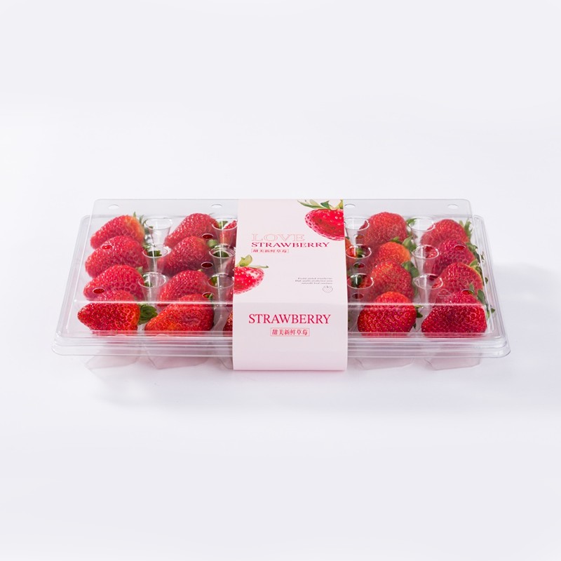 XGL-28 Pet Strawberry Retail Packaging Supermarket Fresh Fruit Display Container XGL-28 Pet Strawberry Retail Packaging Supermarket Fresh Fruit Display Container