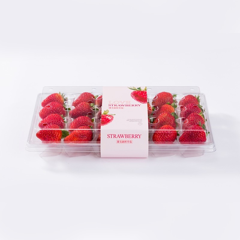 XGL-24 Pet Strawberry Clamshell Thermoformed Clear Plastic Berry Box