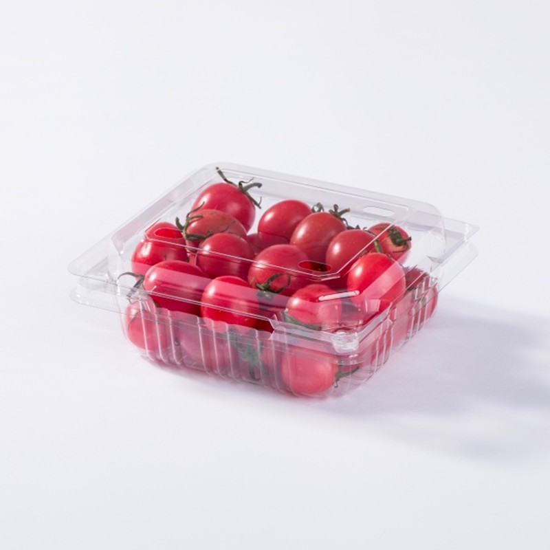 XGL-250G Square PET Fruit Lightweight Seal Clamshell Container