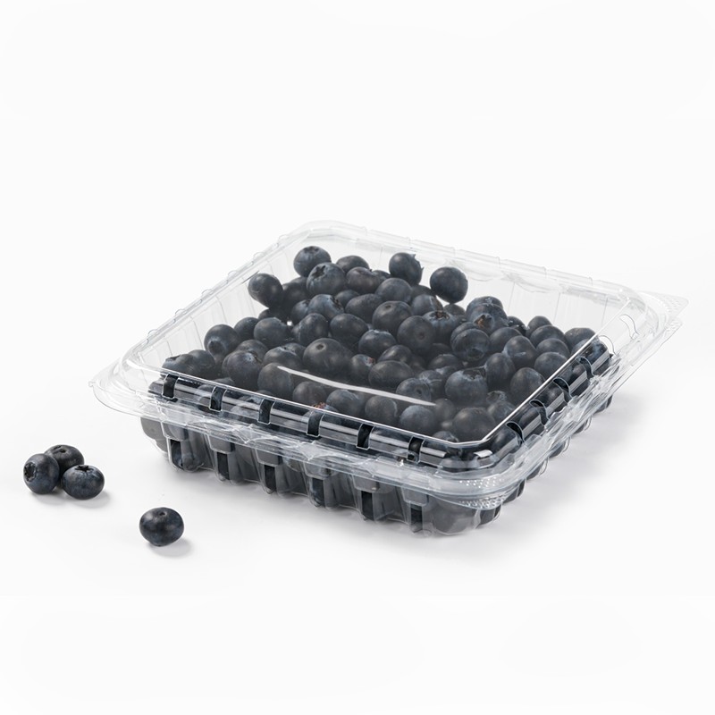 XGL-500 PET Aesthetically Pleasing Fruit Square Clamshell Container XGL-500 PET Aesthetically Pleasing Fruit Square Clamshell Container