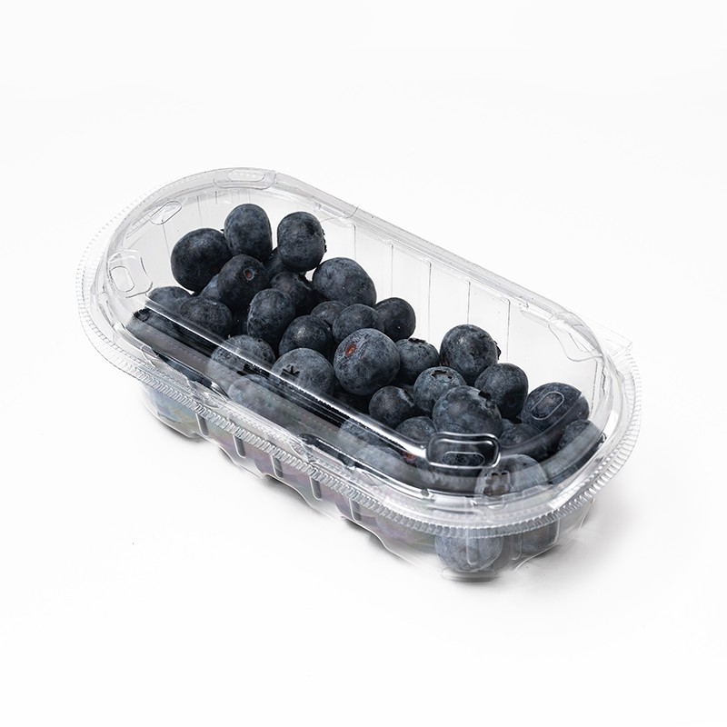 XGL-200 PET Blueberry Transparent Ventilation Clamshell Container