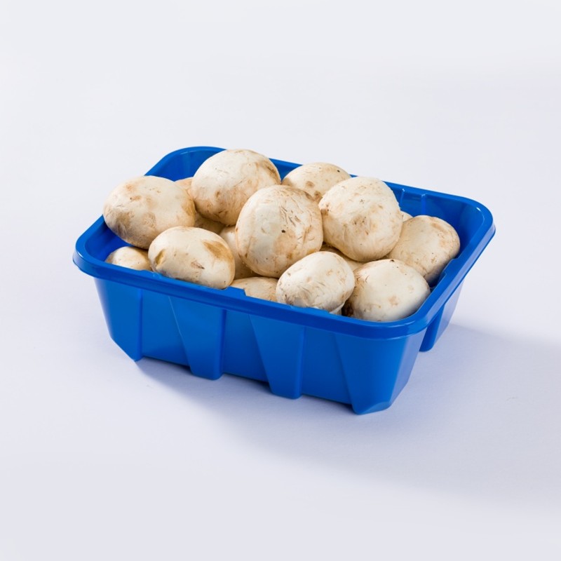 XGL-460G Blue PET Deep Mushroom Display Tray With Reinforced Structure