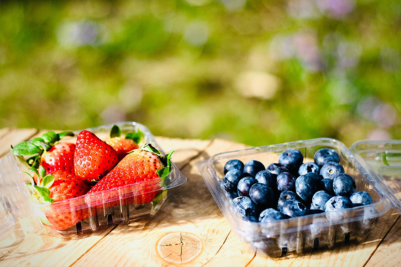 Clear PET Fruit Clamshell Container